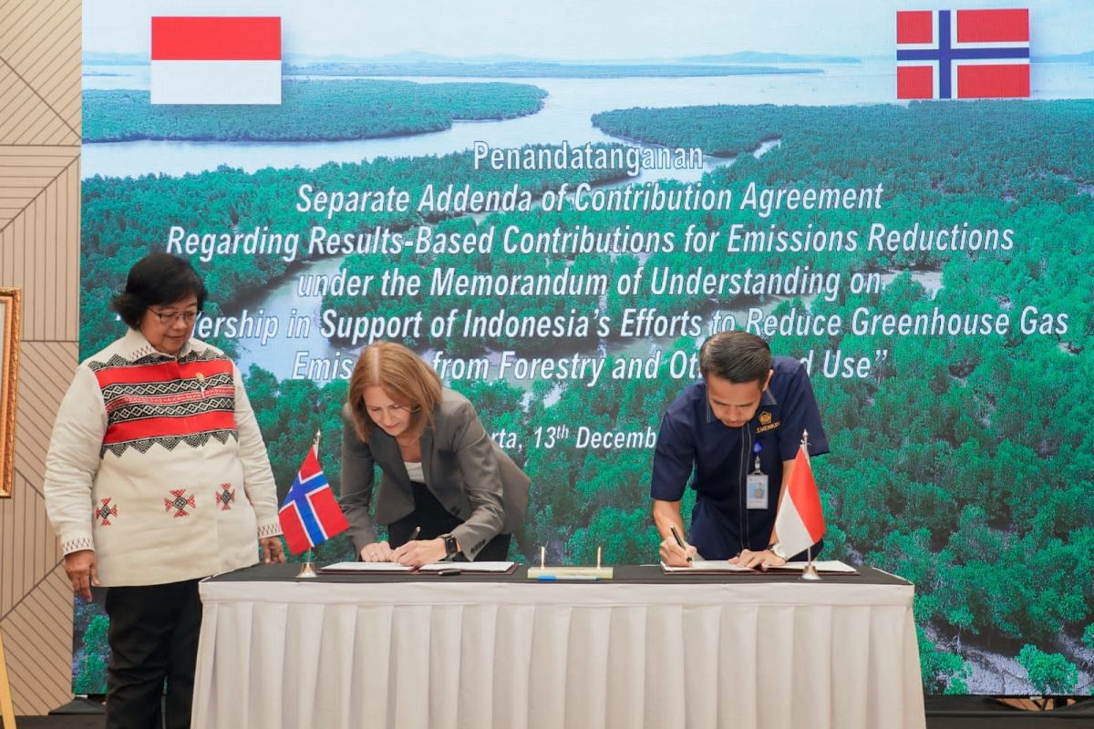 Norwegia Salurkan Rp 7,08 T untuk Hutan Indonesia Berbasis Hasil